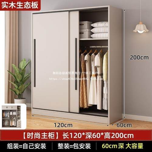 实木衣柜家用卧室推拉门60深大衣储物收型纳柜出房DHS租橱用经济
