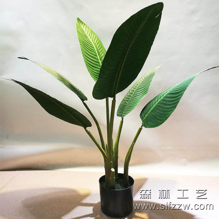 厂家布天叶美旅人蕉小LAO小人蕉热带雨林造景装饰仿真芭蕉树堂鸟