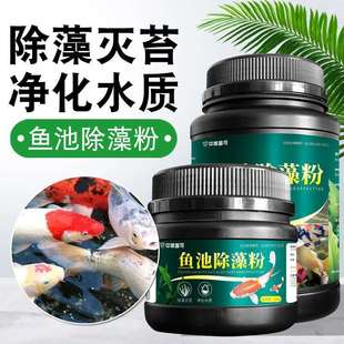 鱼池除742绿藻剂去青苔藻鱼塘除绿水蓝褐藻清除剂丝鱼缸除藻粉去