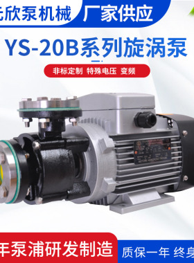 元新直供高温卧式热水泵YS-20B热油循环旋涡泵模温机导热油泵