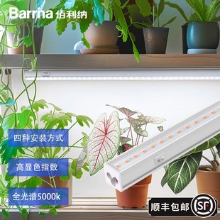 in佰利纳补光灯热植兰补光灯家用上色全光谱ld