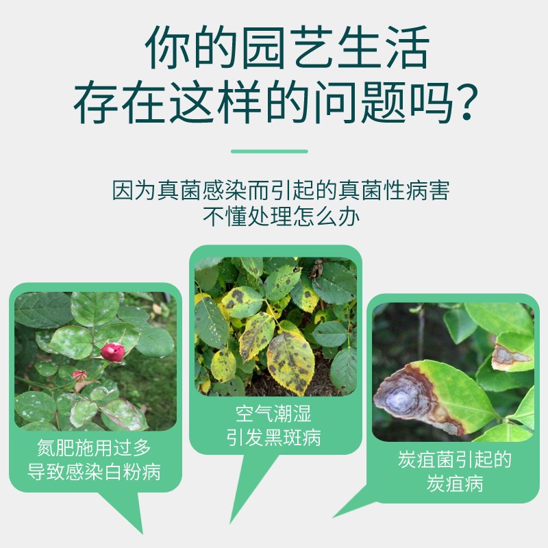 千百剂花枝俏剂免稀释喷雾肥料多肉月季兰花白粉黑斑