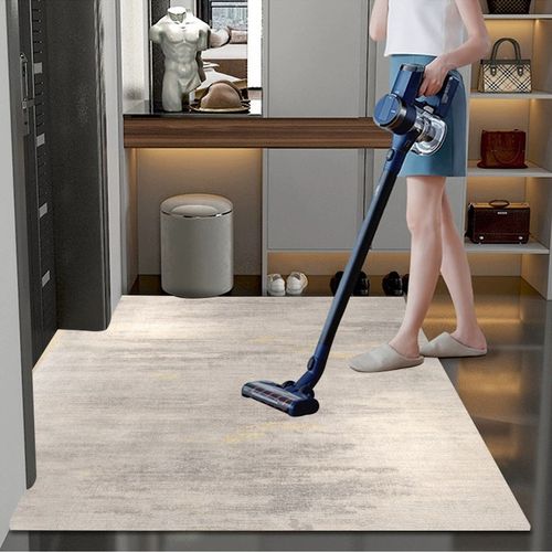 高端入户门地垫进门门垫家用奶油风客厅地毯玄关脚踏垫裁剪垫子