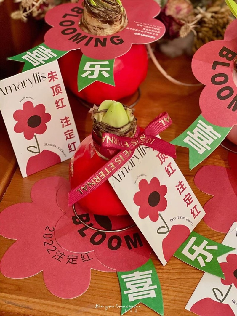 新年花束装饰富贵朱顶红盒子包装礼盒空盒礼盒装礼品盒吊牌养护