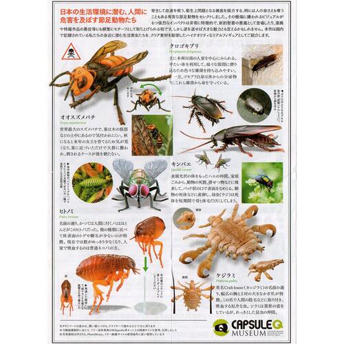 模玩*预售KAIYODO扭蛋卫