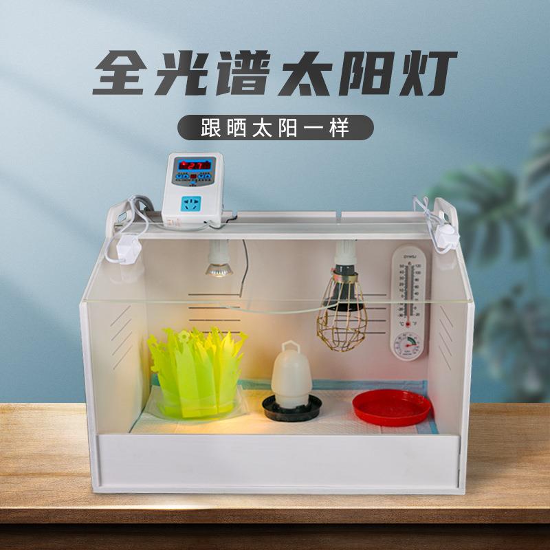 维谦雏鸡鹌鹑小鸡鸟保温饲养爬宠箱鸡鸭鹅鹌鹑珍禽育雏保温箱图片