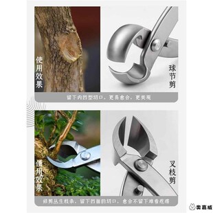新款便携球节剪球形剪盆景工具修剪造型工具盆景树枝剪钳枝剪