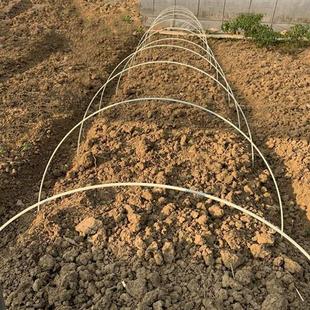 新型拱棚支架 玻璃纤维杆 玻璃纤维纤维小棚支架蔬菜农用小拱棚支