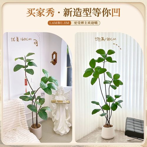 大型客厅落地室内沙发电视柜旁边假装饰品黑金刚仿真绿植