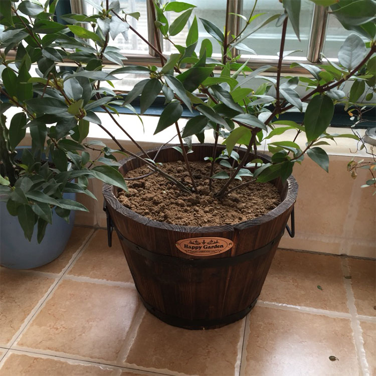碳化防腐木制圆花桶花箱盒阳台种花种菜绿植木桶创意多肉绿萝花盆