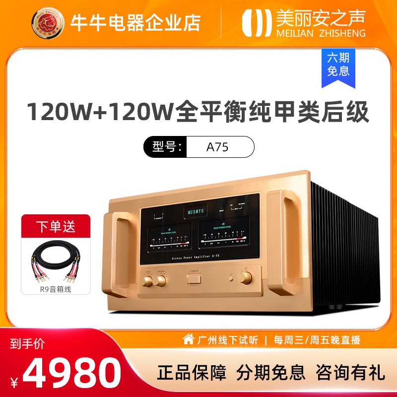 A75甲类后级功放HIFI发烧级功放机1E20瓦大功率全平衡pk金嗓子音