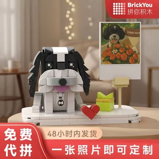 猫咪狗狗积木定制宠物积木定制  宠物生日 宠物纪念 真实还原样貌