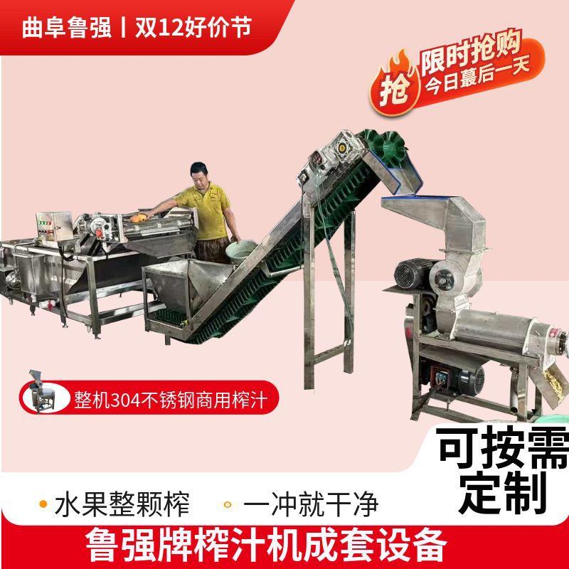 供应大型工业橙子杨梅原汁机柚子去皮榨汁机破碎榨汁设备机械