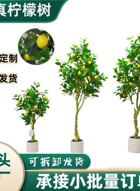 仿真植物柠檬树盆栽服装店室内落地桔子树摆件装饰假树绿植盆景
