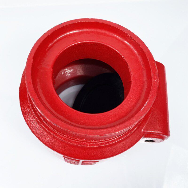 沟槽新型橡胶瓣止回 卡排污用逆止铸铁消音止逆