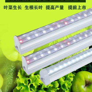 全光谱补光灯仿太阳全光谱大棚叶菜蔬菜生长灯组培育苗