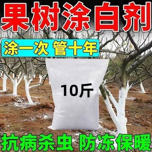 果树涂白剂含石硫合剂防虫可喷涂