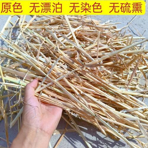 新小麦秆碎秸秆麦草短麦秆麦糠装
