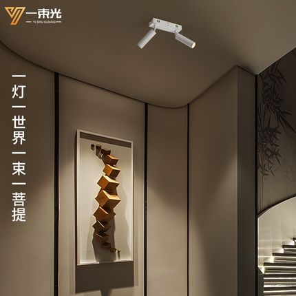 一束光聚光四头明装客厅茶室艺术饰品小酒馆氛围餐饮头led灯