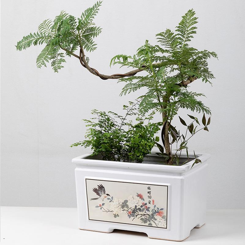 长方形陶瓷花盆创意家用阳台鲜花绿植盆景榕树花器花卉君子兰透气