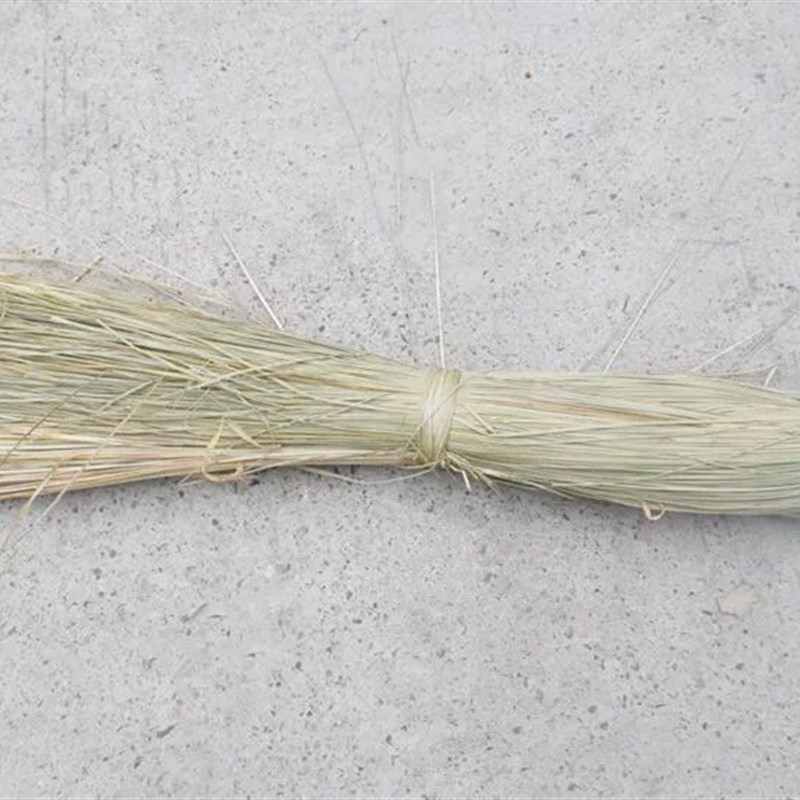 螃蟹香草扎蟹绳捆绑大闸蟹香草绳子螃蟹绳子包粽子扎粽子的线整包