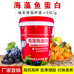 海藻鱼蛋白肥料生根壮苗剂甲壳素黄腐酸钾果树肥冲施肥水溶肥桶装