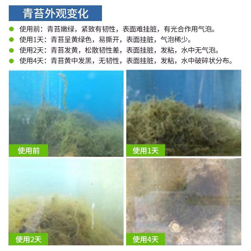 处理青苔水产养殖千亿芽孢抑制青苔蓝藻调水净水伤水草小龙虾蟹,畜牧/养殖物资,水质调节剂,淘宝优惠券,粉丝福利购,淘宝优惠卷