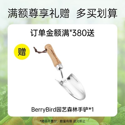 花构想6花箭蝴蝶兰盆栽带花卉带花植物室内客厅办公室兰花苗好养