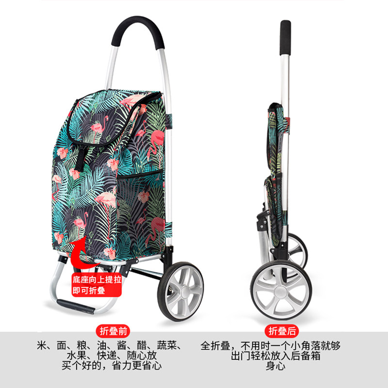 致丽生活购物 防水买菜老年爬手拉