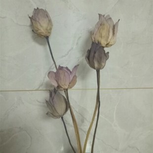 天然原杆干莲蓬小莲蓬干干荷束家居客厅摆设222年新