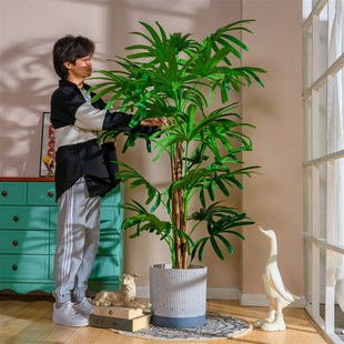 侘寂风仿真棕竹棕桐葵植物室内客厅假树仿生绿植盆栽造景装饰摆件