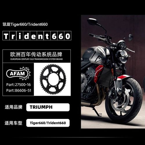 FM牙盘适用凯旋三叉戟Tident 老虎tige大小链轮链条