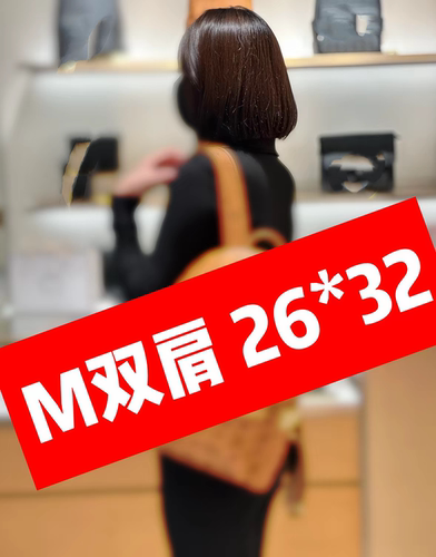 M  书包双肩包 干邑色 顶版 内置芯片(小号)