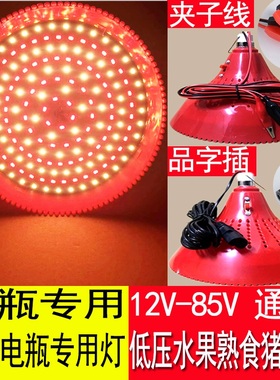 72红色灯低压灯泡水果灯生鲜灯LED卤菜熟食灯夜市