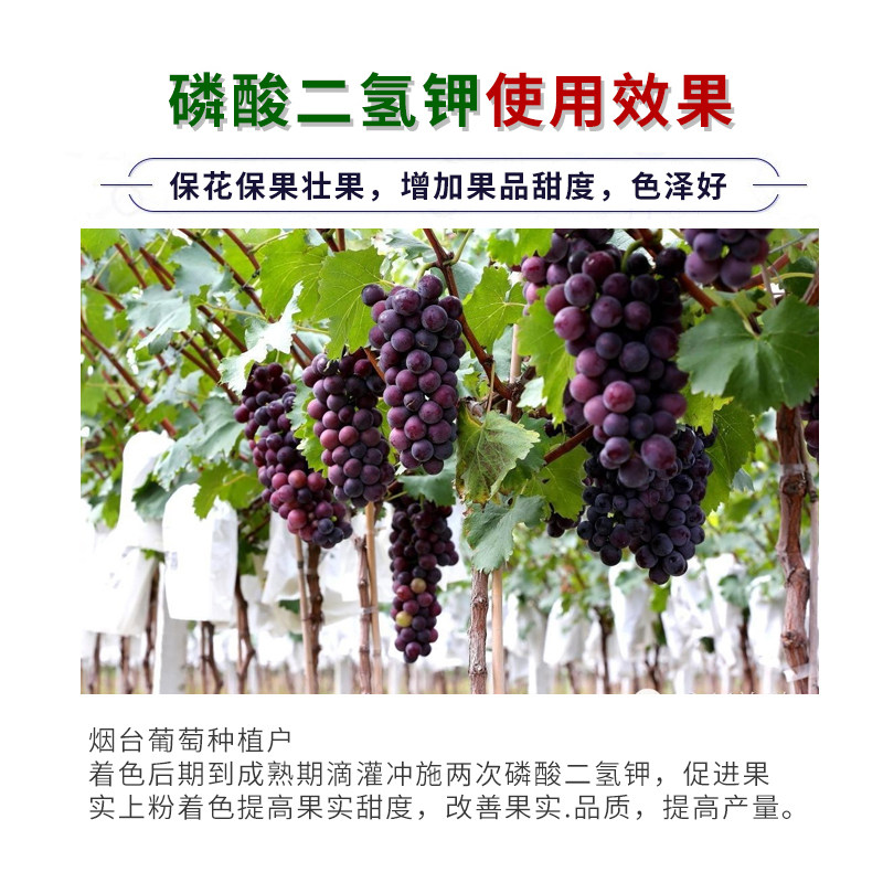 超磷磷酸二氢叶面肥 通用肥 肥蔬菜果树肥料水溶肥