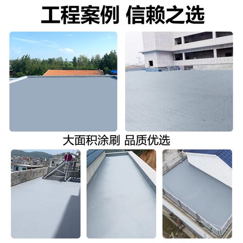 屋顶防水补漏材料楼顶房顶涂料外墙漏水沥青防漏胶水池