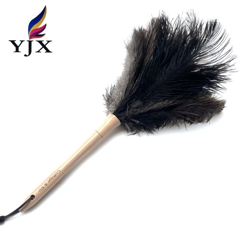 家用车用掉毛鸵鸟羽毛扫把柔软鸟毛鸡毛毯子博古架钢琴洁掸子,家庭/个人清洁工具,除尘掸,淘宝优惠券,粉丝福利购,淘宝优惠卷