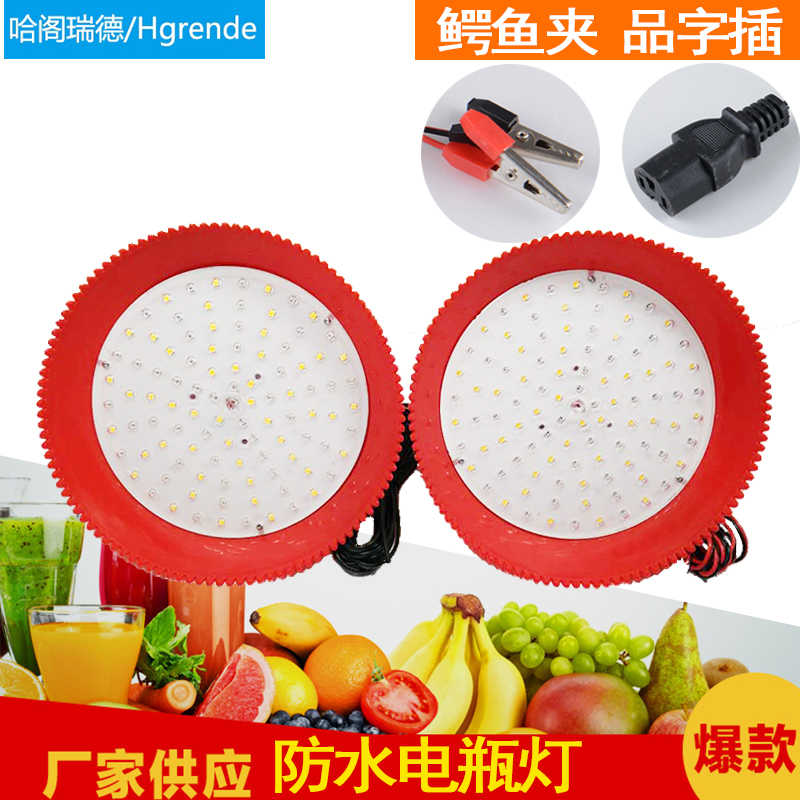 12VLED灯泡48v夜市充电摆地摊灯 低压水果生鲜灯猪肉灯熟食灯
