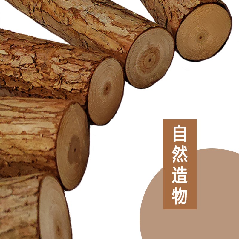 杉木头树杆树段造景装饰造型围栏营地实木架子篱笆栅栏支撑杆