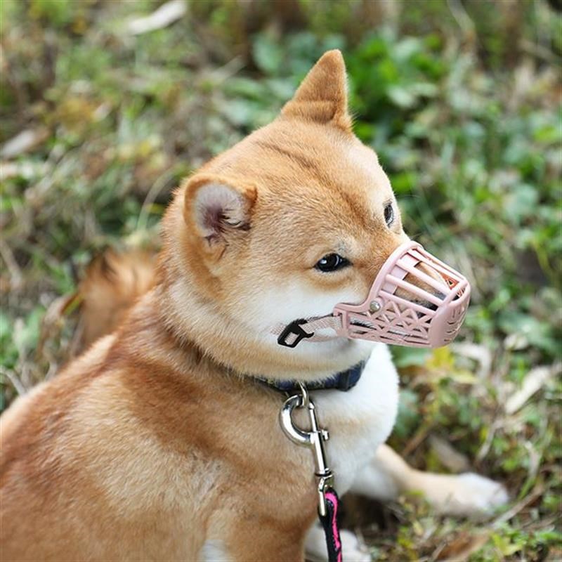dog muzzle pnet barker dog cage dog hood狗狗止吠器