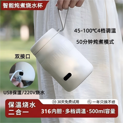 便携式烧水杯小型电加热水杯旅行办公室多功能恒温保温炖煮养生壶