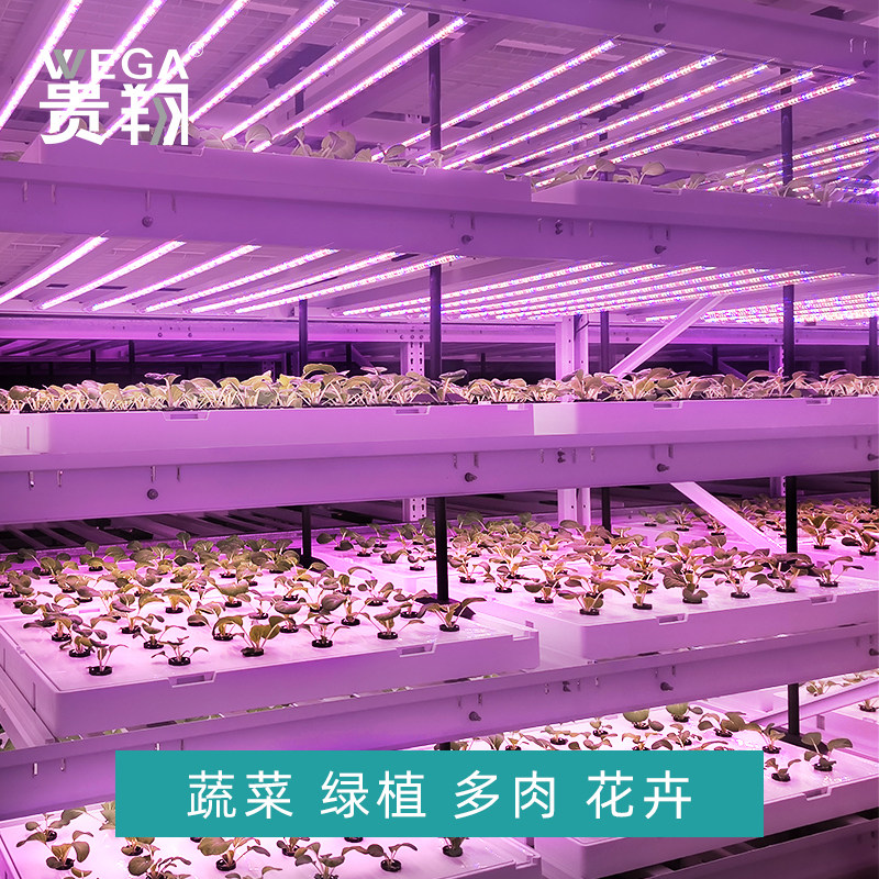 贵翔 多肉补光灯上色室内仿太阳光家用温室LED全光谱植物生长灯