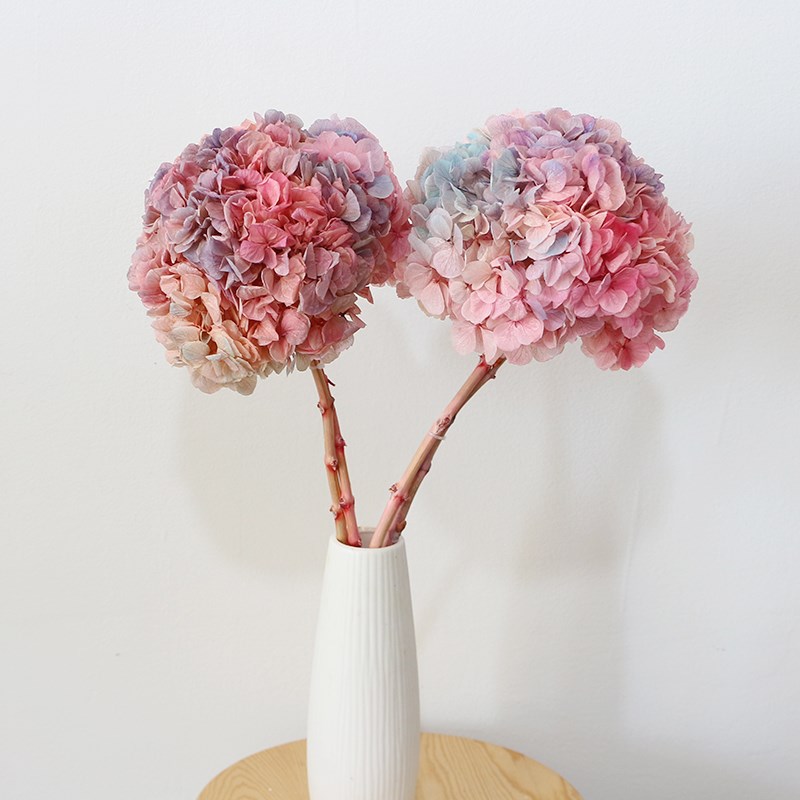 大叶绣球天然真花永生花家居装饰客厅插花单支带杆干花软装