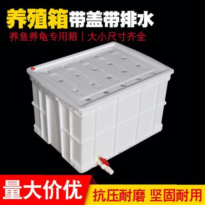 大号养鱼养龟塑料水箱透气孔白色胶箱带盖排水水产养殖周转箱,收纳整理,收纳箱,淘宝优惠券,粉丝福利购,淘宝优惠卷