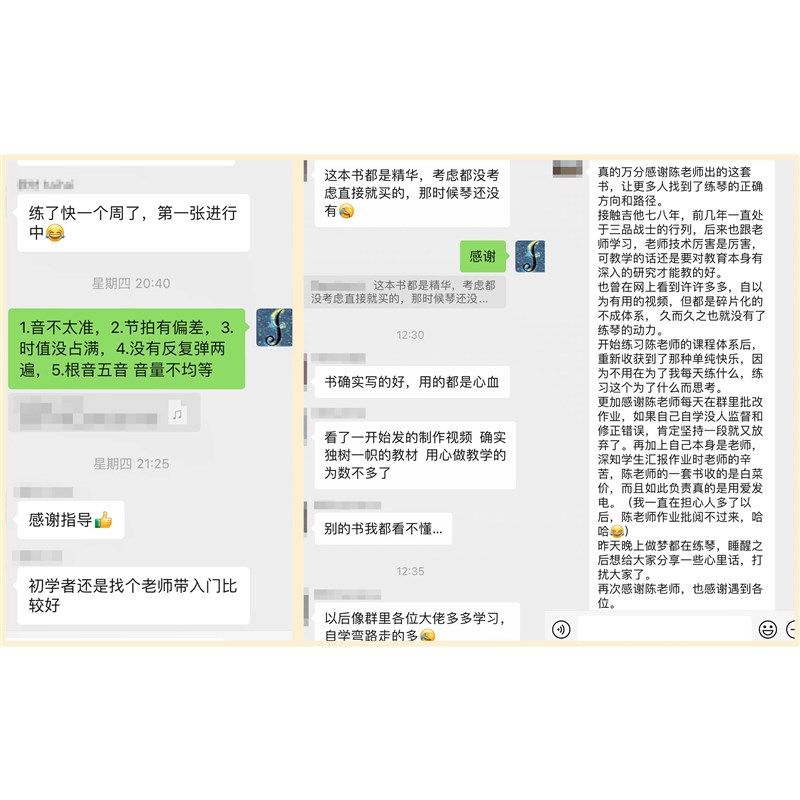 电吉他演奏艺术 集大成的电吉他课程 入门进阶自学 推