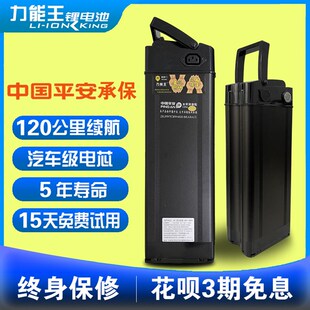 索罗门电动车池法斯洛菲勒哪吒琦利