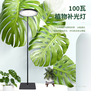光合作用室内家用多肉补光灯 仿太阳全光谱ld卉绿植生长灯