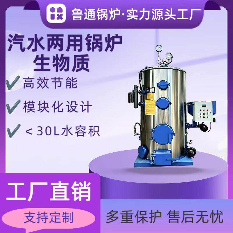 1吨生物质锅炉立式化工橡胶工厂锅炉