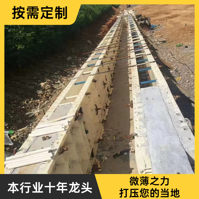 塑钢模具挡墙涵洞框架梁现浇塑料模板挡土墙管廊混凝白色高密度路