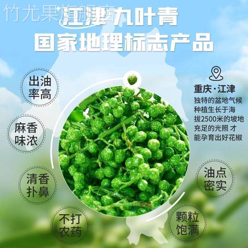 新鲜青花椒重庆江津藤椒麻椒真空袋装350克四川特产鲜花椒食用